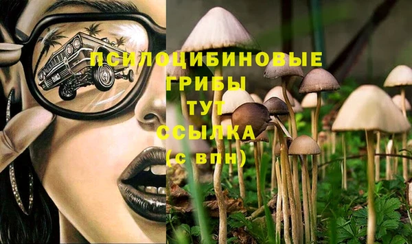 2c-b Баксан