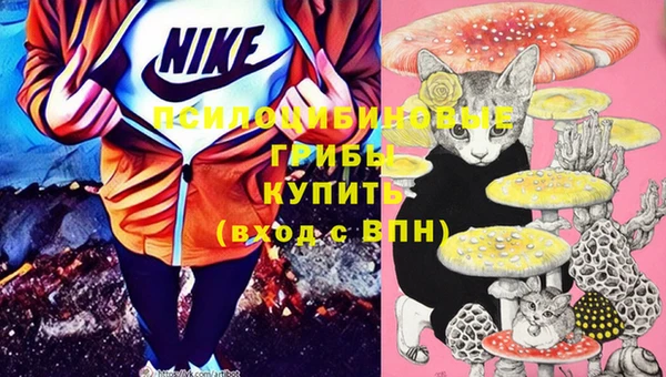 2c-b Баксан