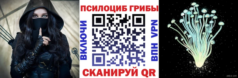 Псилоцибиновые грибы Cubensis  Нязепетровск 